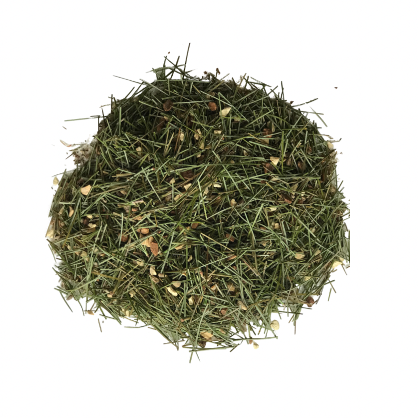 White Pine Needle Tea Blend